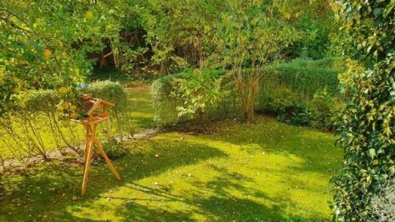 Garten