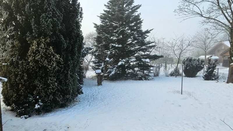 Blick von der Terrasse